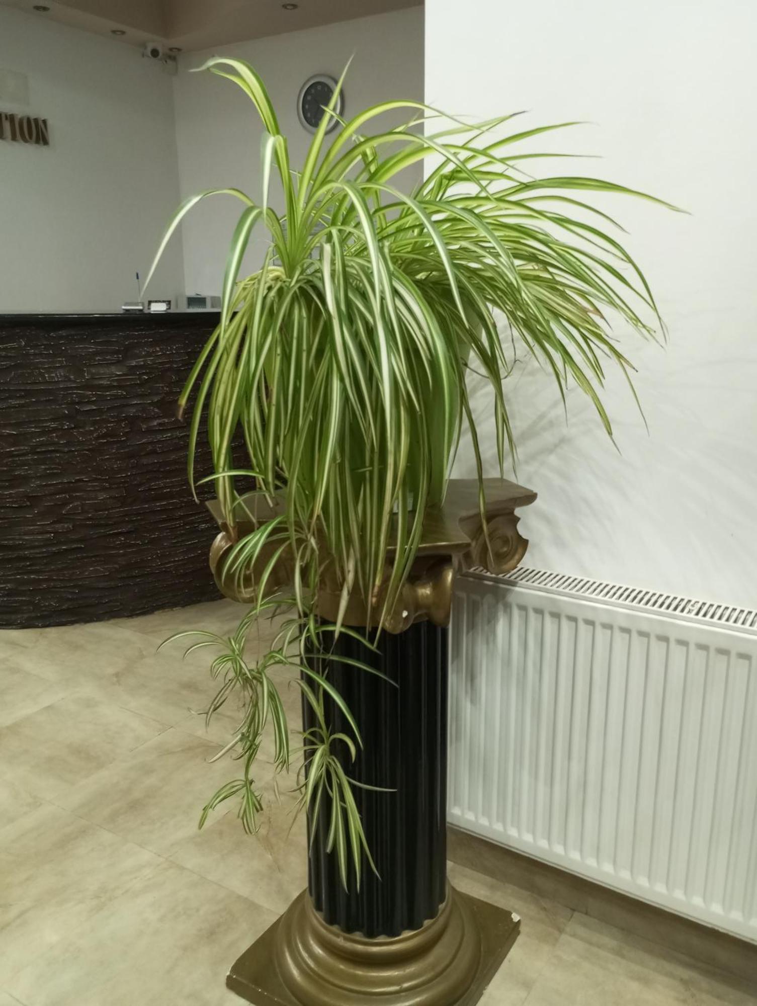 Rhc Royal Hotel Oradea Luaran gambar